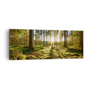 Quadro su tela - Stampe su Tela - Foresta verde illuminata dalla luce del sole sul muschio - 140x50cm - …dopo sette foreste - Decorazione murale moderna per soggiorno e camera da letto ARTTOR