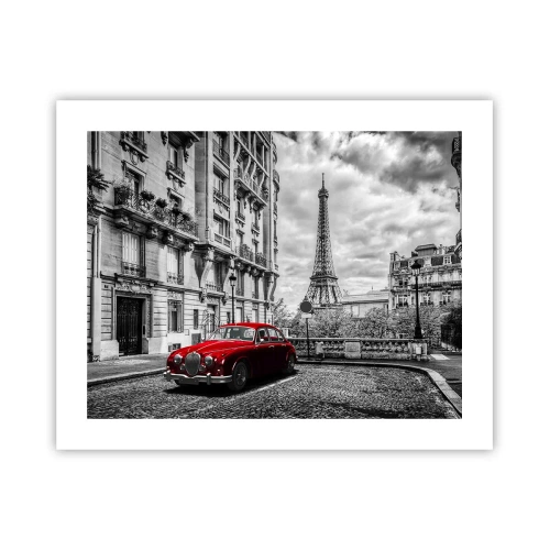 Poster - Predatore in città - 50x40 cm