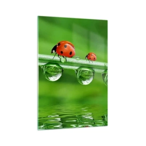 Quadro su vetro - Coccinelle su un filo d'erba con gocce di rugiada in un ambiente naturale - 70x100cm - In cammino per tutta l'estate - Decorazione murale moderna per soggiorno e camera da letto ARTTOR