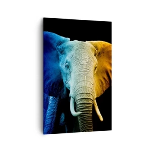 Quadro su tela - Stampe su Tela - Ritratto di elefante nei colori dell'arcobaleno - 80x120cm - Eccentrico, non strano - Decorazione murale moderna per soggiorno e camera da letto ARTTOR