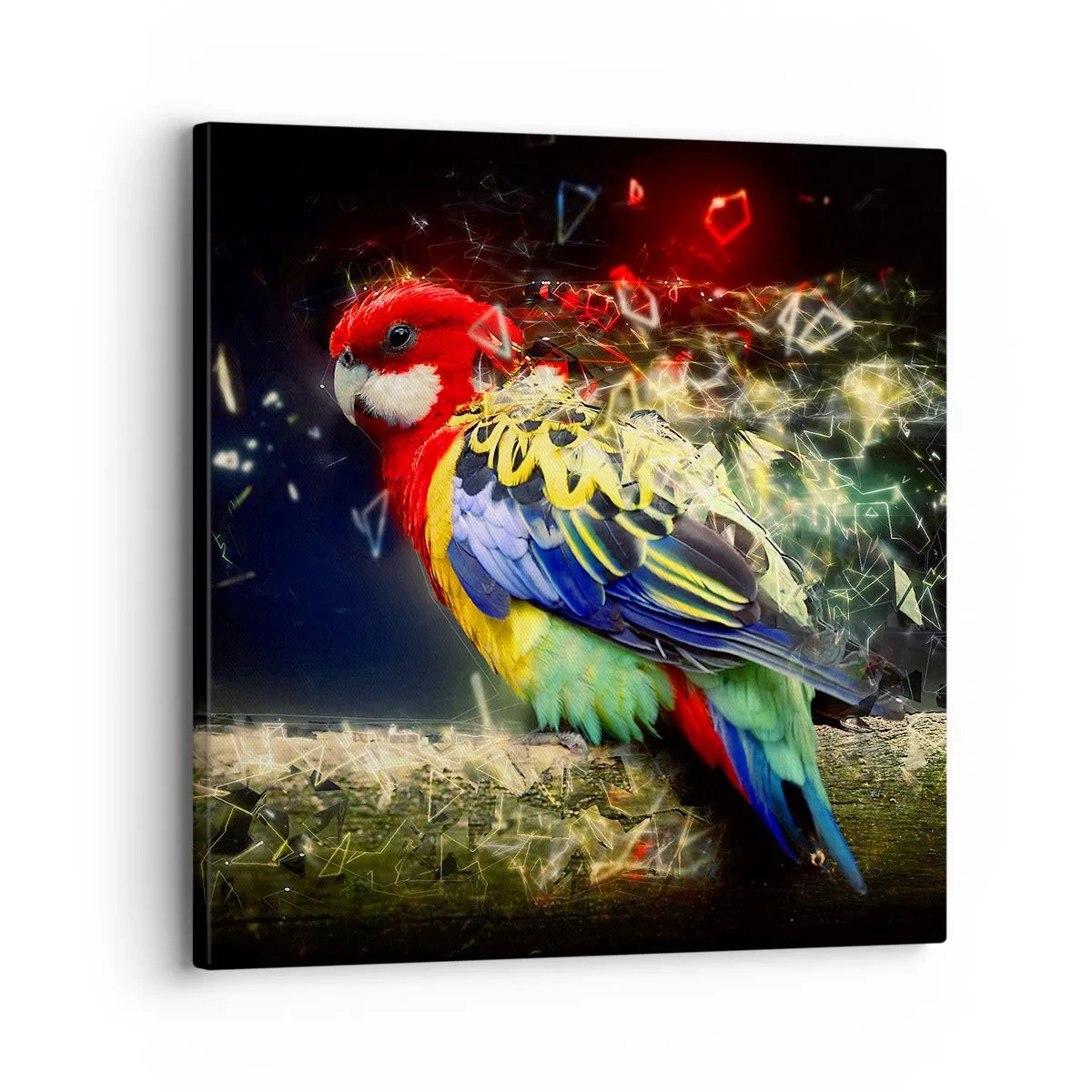 Quadro su tela - Stampe su Tela - Messaggero di luce - 30x30 cm