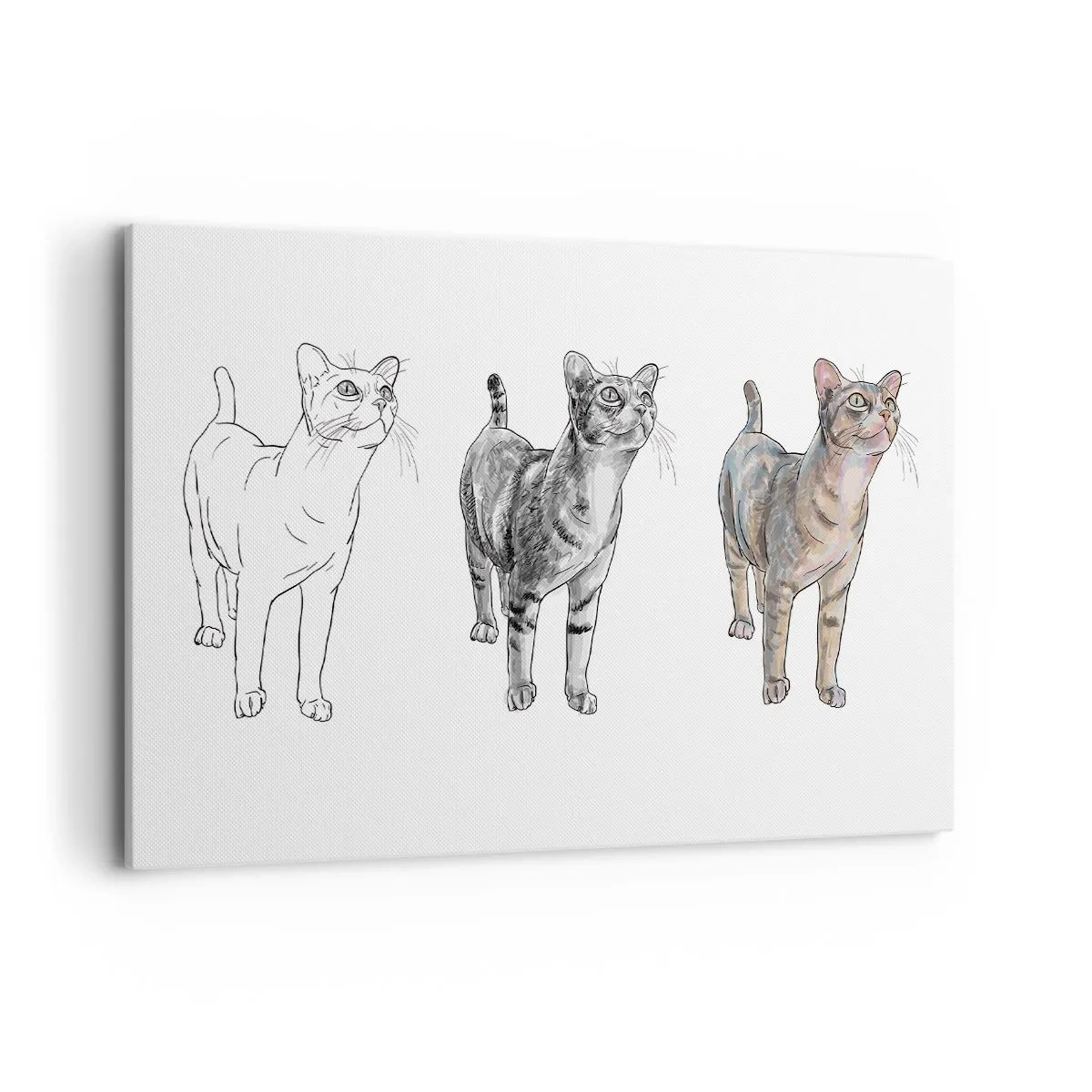 Quadro su tela - Stampe su Tela - L'evoluzione del disegno di un gatto da schizzo a forma colorata - 120x80cm - Lezione di disegno - Decorazione murale moderna per soggiorno e camera da letto ARTTOR