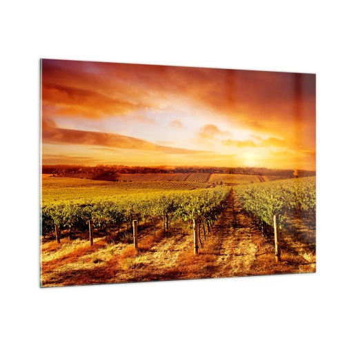 Quadro su vetro - Viti in un campo al tramonto - 100x70cm - Profumo di frutta con una nota di sole - Decorazione murale moderna per soggiorno e camera da letto ARTTOR