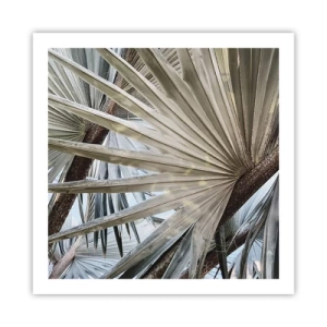 Poster - Ventagli dei tropici - 60x60 cm