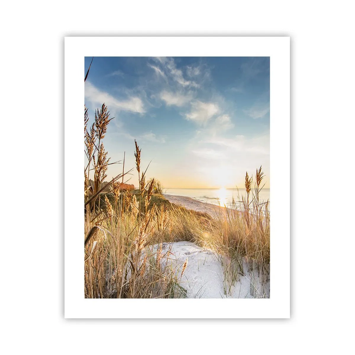 Poster - Spiaggia del nord - 40x50 cm