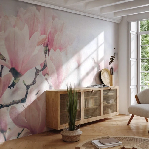 Fotomurali Autoadesivo Deluxe Sticker - Ideale di delicatezza - Magnolia, Fiori, Albero di magnolia - 450x315 cm