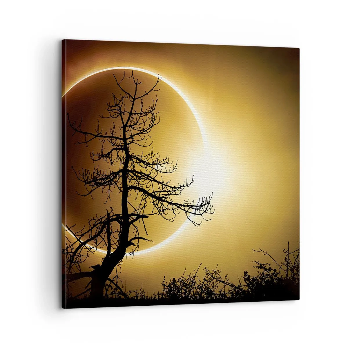 Quadro su tela - Stampe su Tela - Eclissi totale - 60x60 cm
