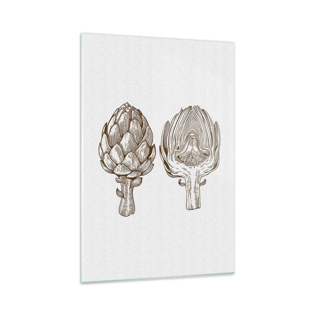 Quadro su vetro - Disegno d'arte d'epoca di un carciofo - 80x120cm - Lezione di anatomia - Decorazione murale moderna per soggiorno e camera da letto ARTTOR