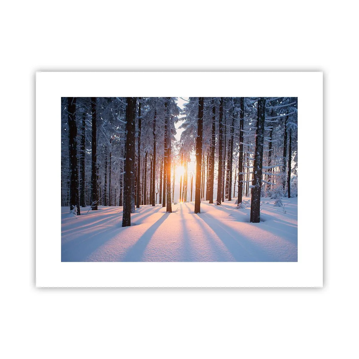 Poster - Decisamente nero su bianco - 40x30 cm