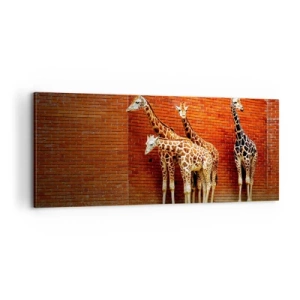 Quadro su tela - Stampe su Tela - Vedete qualche acacia? - 100x40 cm