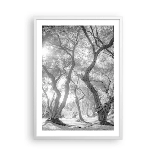 Poster in cornice bianca - Nell'orto degli ulivi - 50x70 cm