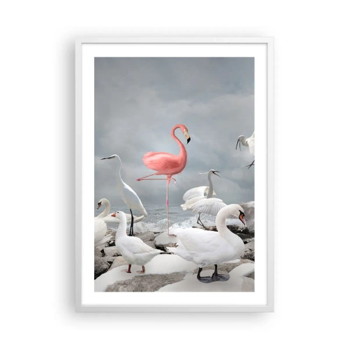 Poster in cornice bianca - Come sono arrivato qui? - 50x70 cm