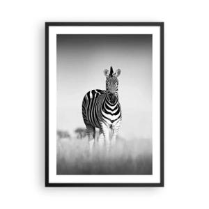 Poster in cornice nera - Una zebra in una composizione in bianco e nero nella savana - 50x70cm - E tuttavia il mondo è bianco e nero - Decorazione murale moderna per soggiorno e camera da letto ARTTOR