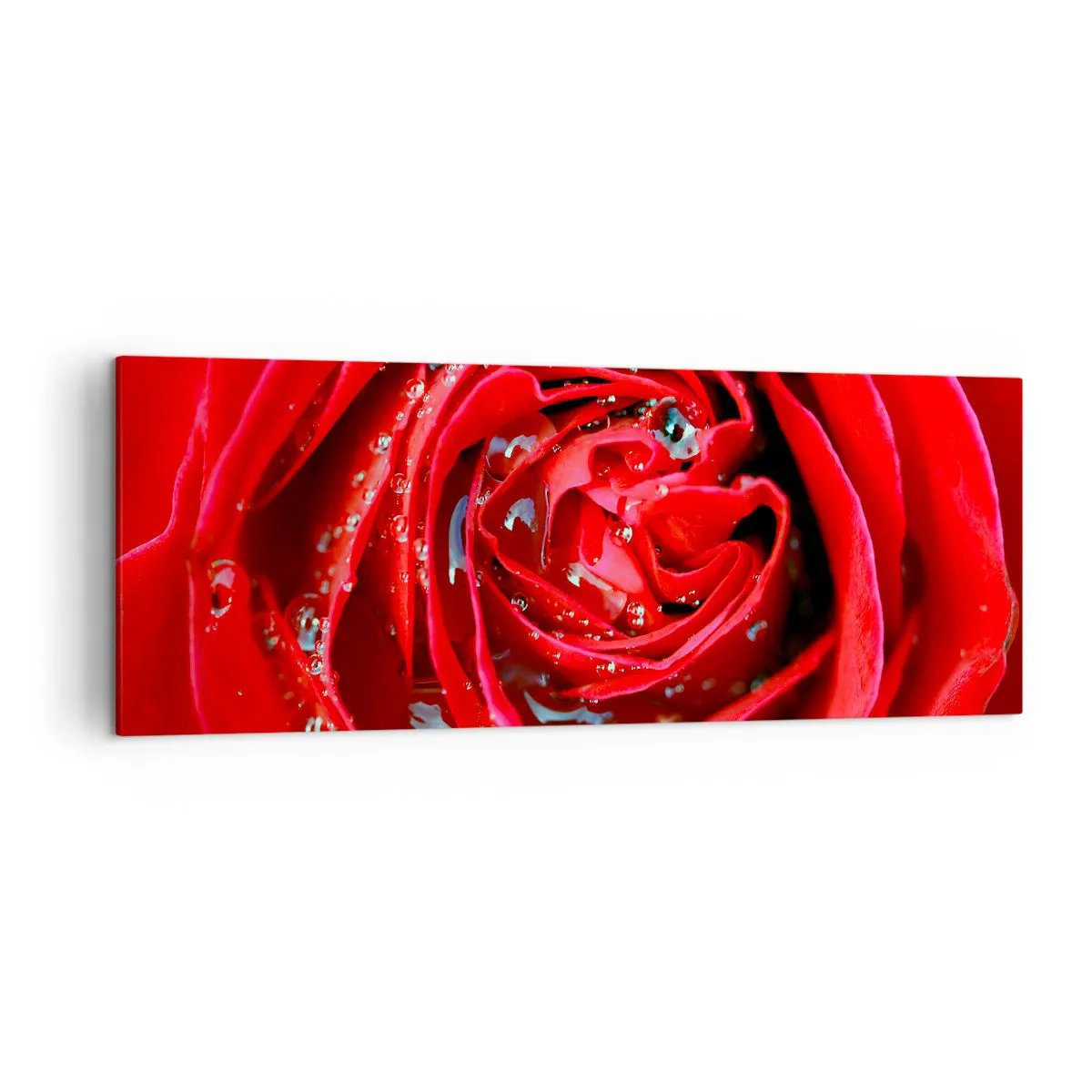 Quadro su tela - Stampe su Tela - Primo piano di una rosa rossa con gocce d'acqua sui petali - 140x50cm - Nelle gocce della rugiada - Decorazione murale moderna per soggiorno e camera da letto ARTTOR