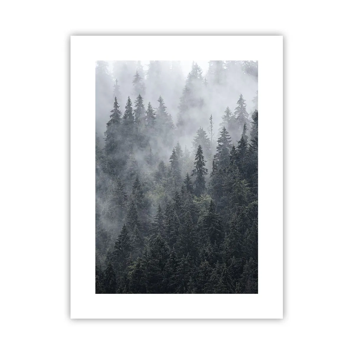 Poster - Alba nel bosco - 30x40 cm