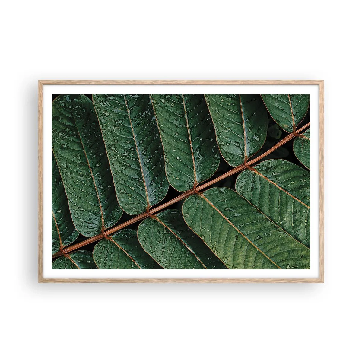 Poster in cornice rovere chiaro - Al ritmo verde - 100x70 cm