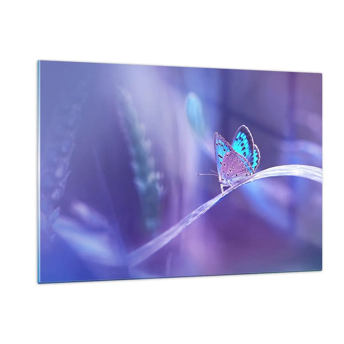 Quadro su vetro - Farfalla su uno sfondo di luce viola - 120x80cm - Gioielli della natura - Decorazione murale moderna per soggiorno e camera da letto ARTTOR