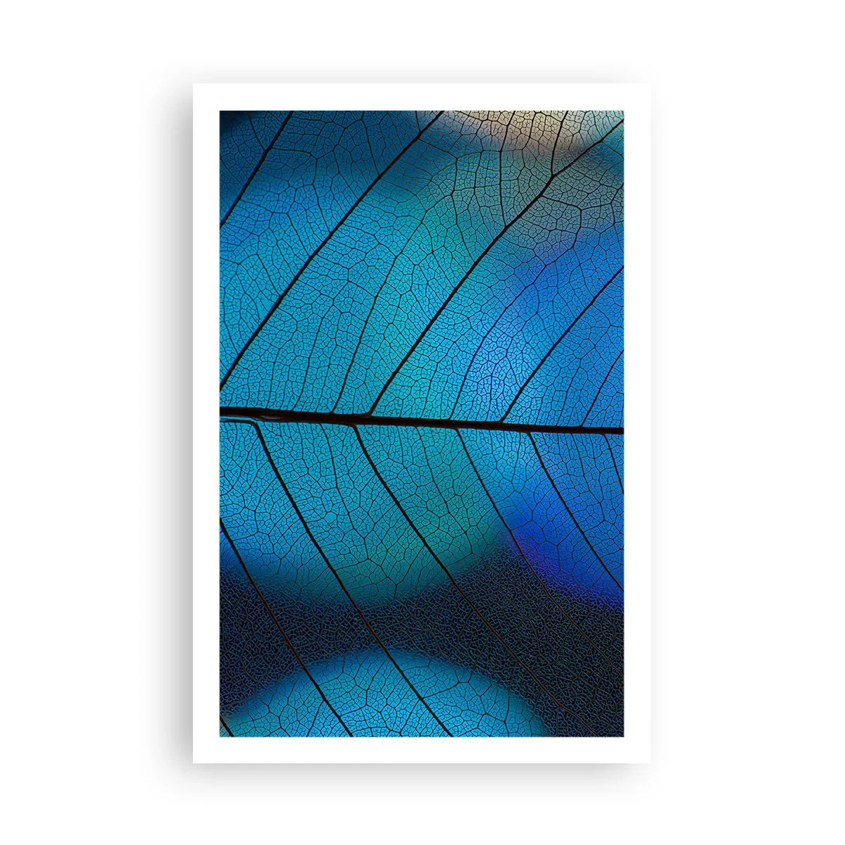 Poster - Struttura intricata - 61x91 cm