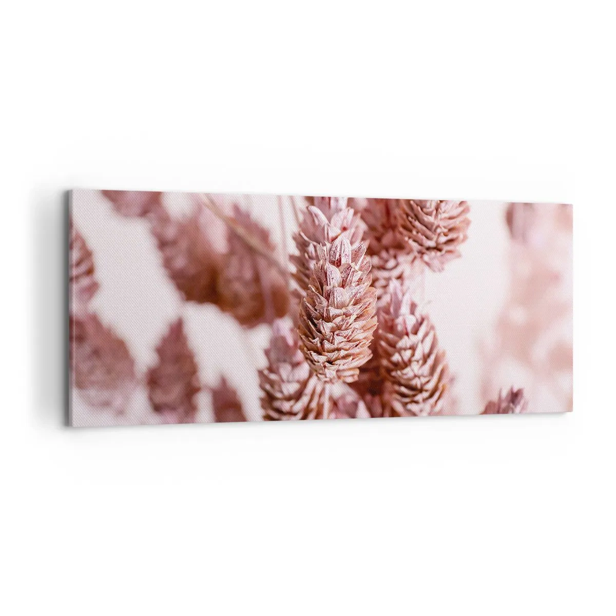 Quadro su tela - Stampe su Tela - Un primo piano delle delicate spighe rosa delle erbe ornamentali - 120x50cm - A prima vista poco appariscenti - Decorazione murale moderna per soggiorno e camera da letto ARTTOR