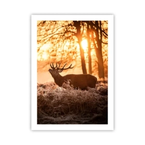 Poster - Cervi nei raggi del sole nascente sullo sfondo della foresta - 50x70cm - Il sogno del cacciatore - Decorazione murale moderna per soggiorno e camera da letto ARTTOR