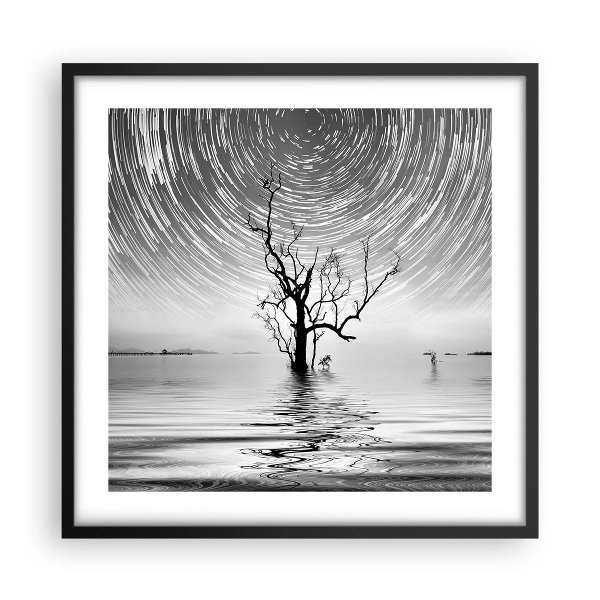 Poster in cornice nera - Sinfonia della natura - 50x50 cm