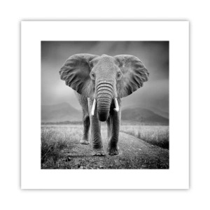 Poster - Il padrone di casa dà il benvenuto - 30x30 cm