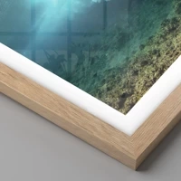 Rovere chiaro
