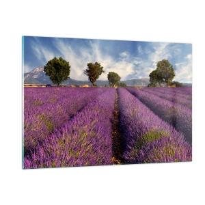 Quadro su vetro - Un campo di lavanda con alberi e uno sfondo di montagne - 120x80cm - Campi di lavanda - Decorazione murale moderna per soggiorno e camera da letto ARTTOR