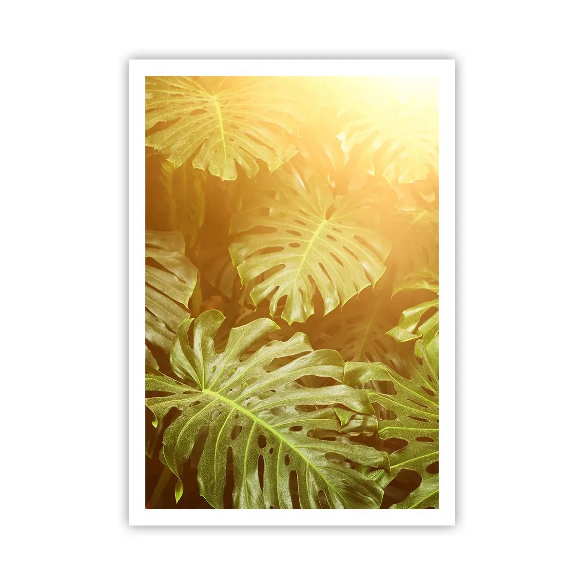 Poster - Entrando nel verde... - 70x100 cm