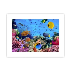 Poster - Ma cosa sappiamo della vita... - 40x30 cm