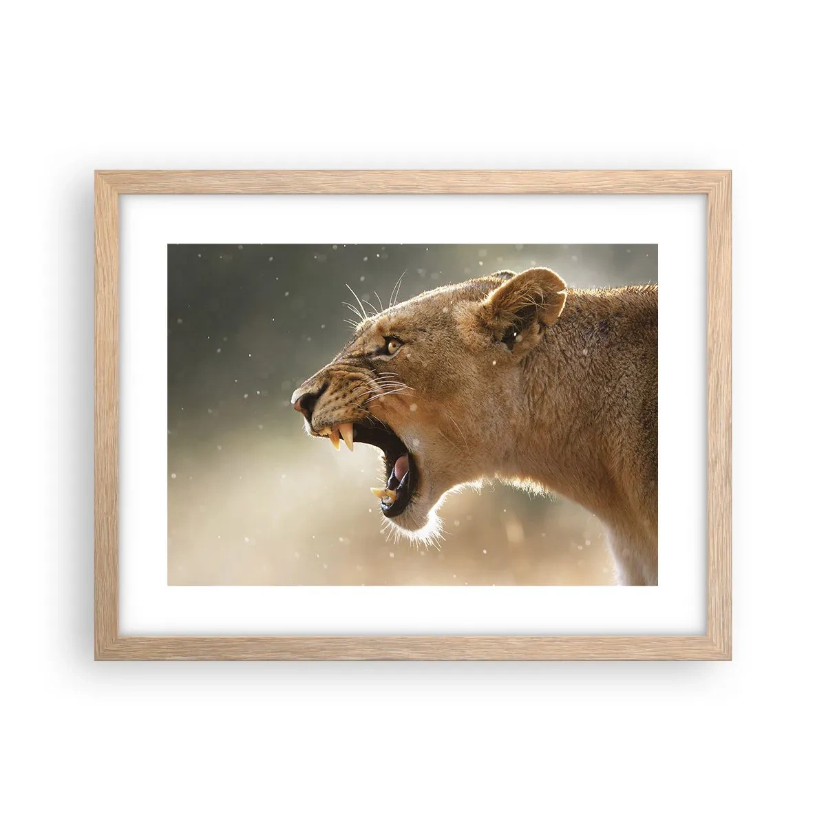 Poster in cornice rovere chiaro - Prova a non ascoltare - 40x30 cm