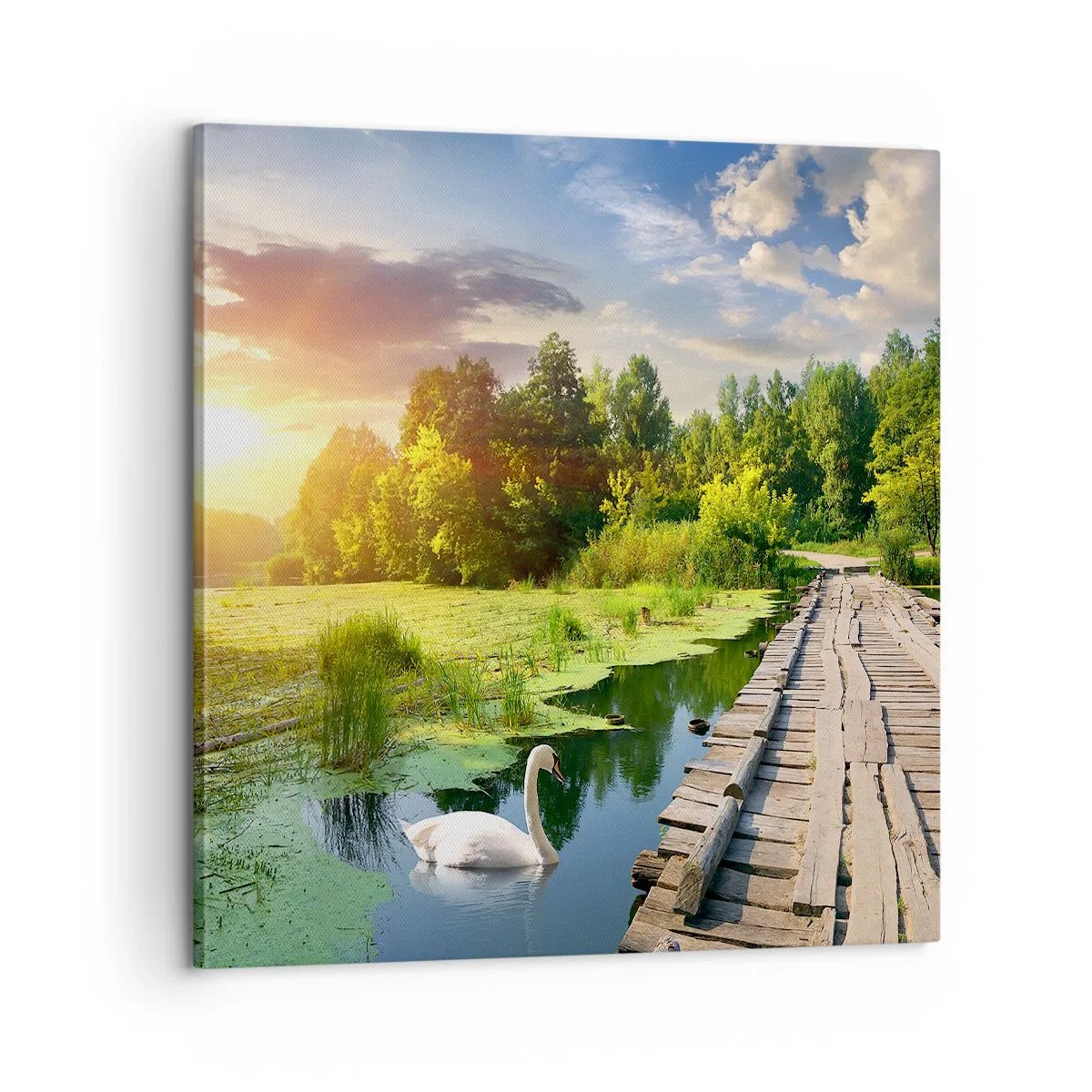 Quadro su tela - Stampe su Tela - Estate, estate ovunque - 60x60 cm
