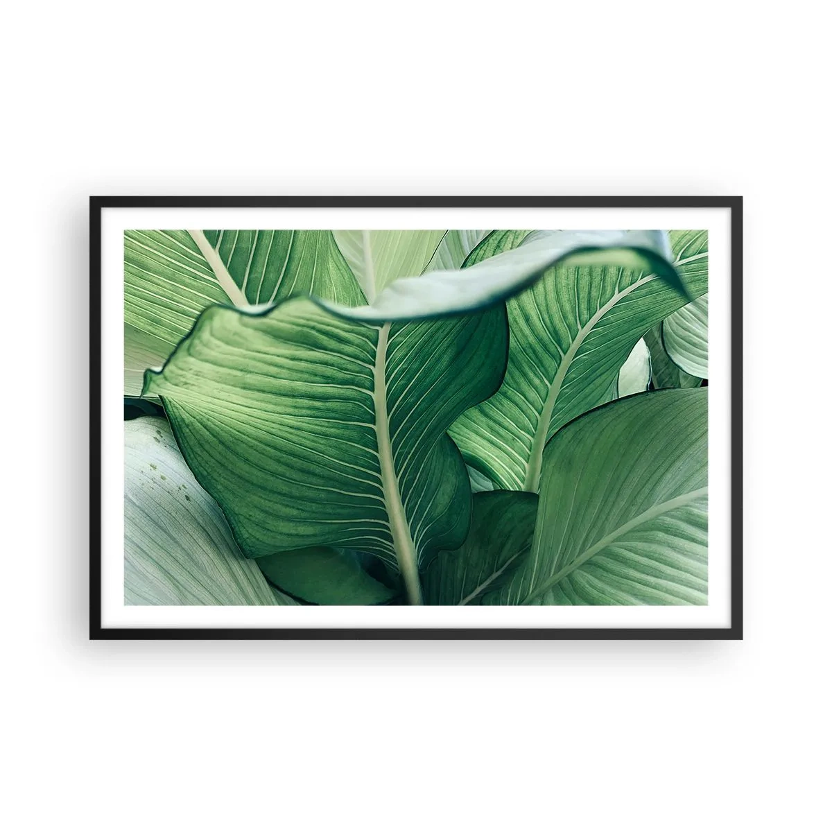 Poster in cornice nera - Una vita intensamente verde - 91x61 cm