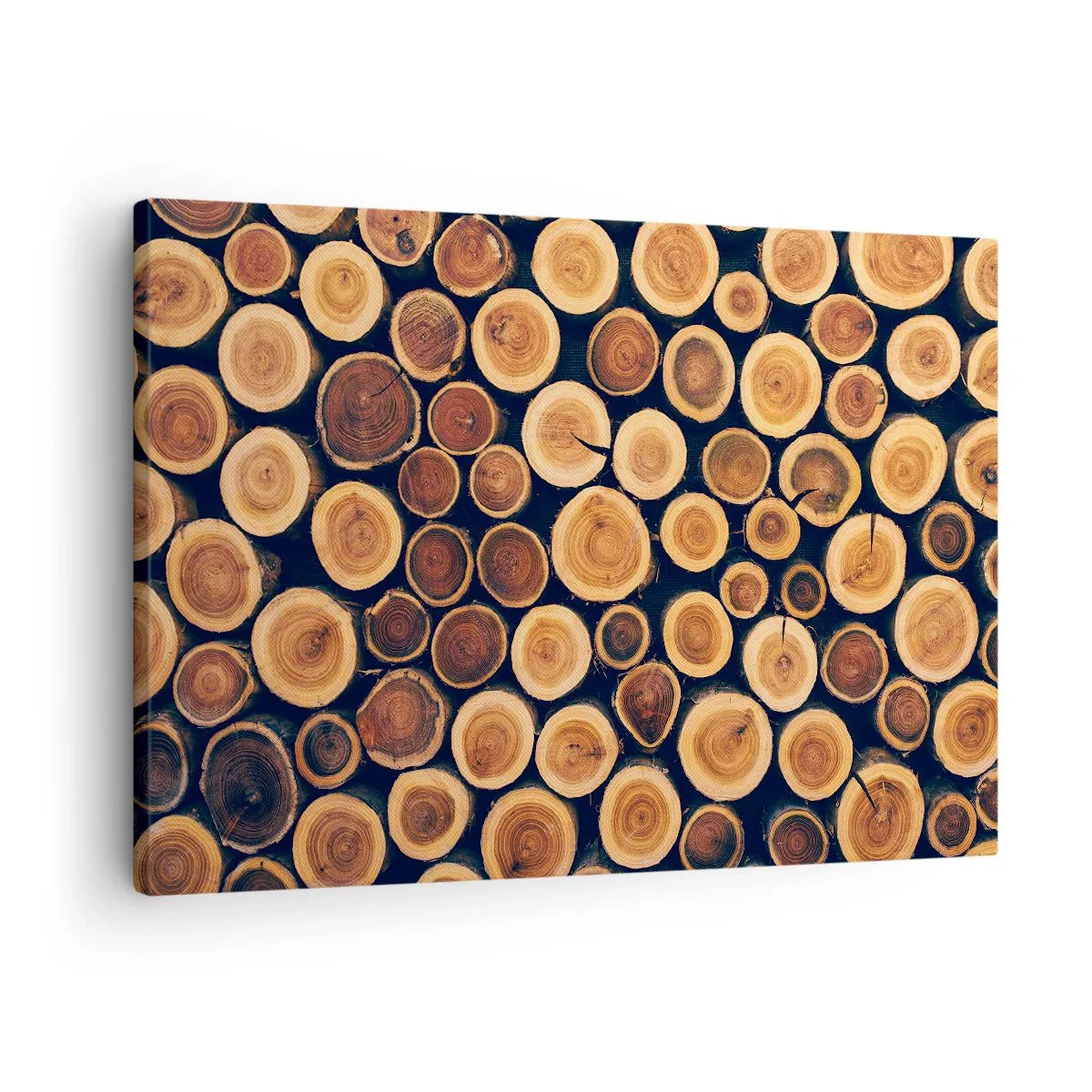 Quadro su tela - Stampe su Tela - Modello realizzato con sezioni trasversali di tronchi di legno - 70x50cm - Quanti anni mi dai? - Decorazione murale moderna per soggiorno e camera da letto ARTTOR