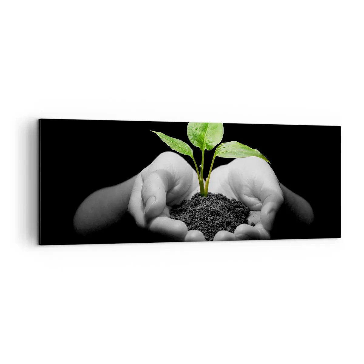 Quadro su tela - Stampe su Tela - Mani che tengono una pianta verde su uno sfondo nero - 140x50cm - Amo la natura, la proteggo - Decorazione murale moderna per soggiorno e camera da letto ARTTOR