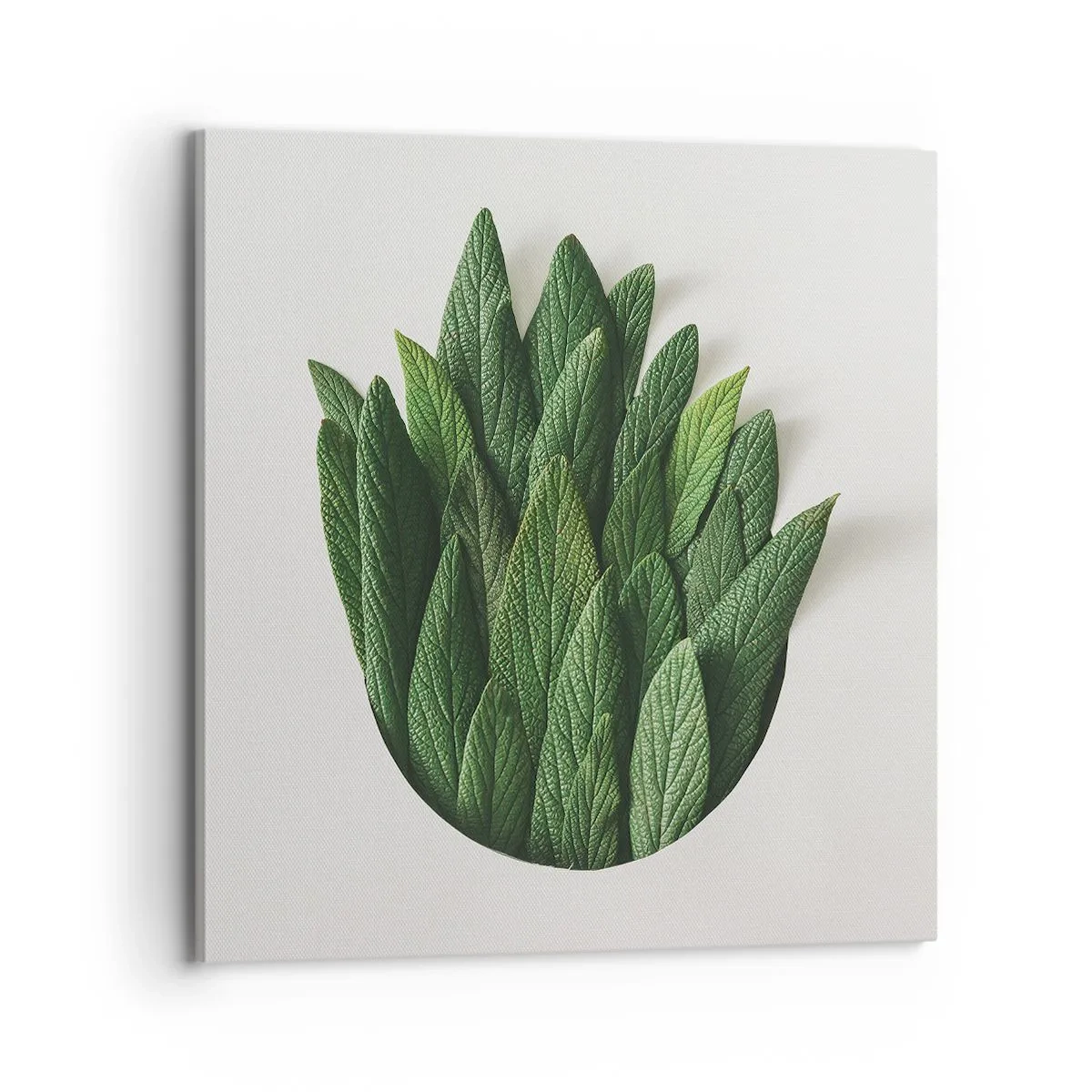 Quadro su tela - Stampe su Tela - Curiosità irrefrenabile - 70x70 cm