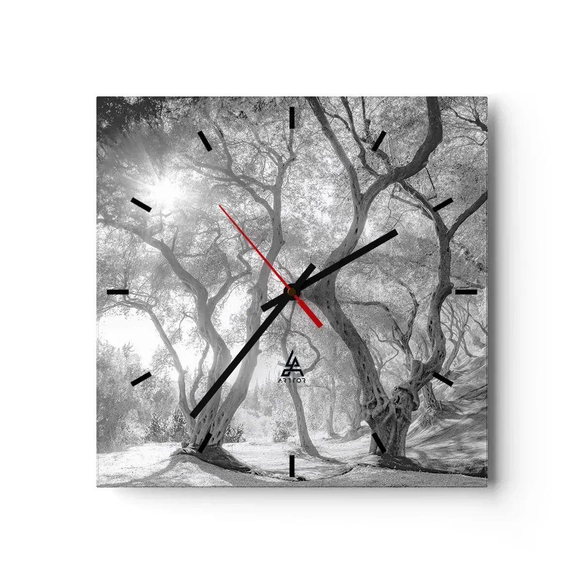 Orologio da parete - Orologio in Vetro - Vista in bianco e nero degli alberi in un uliveto con raggi di sole - 30x30cm - Nell'orto degli ulivi - Decorazione murale moderna per soggiorno e camera da letto ARTTOR