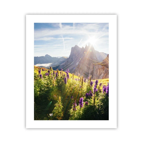 Poster - La vita segreta delle erbe - 40x50 cm