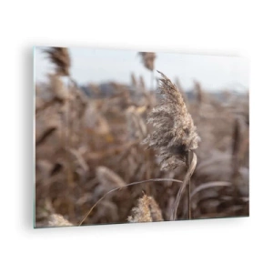 Quadro su vetro - Primo piano dell'erba secca che ondeggia nel vento - 70x50cm - è tempo di volare col vento - Decorazione murale moderna per soggiorno e camera da letto ARTTOR