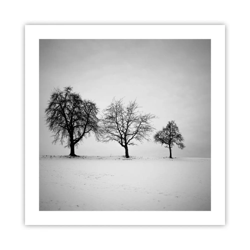 Poster - Cosa sognano? - 50x50 cm