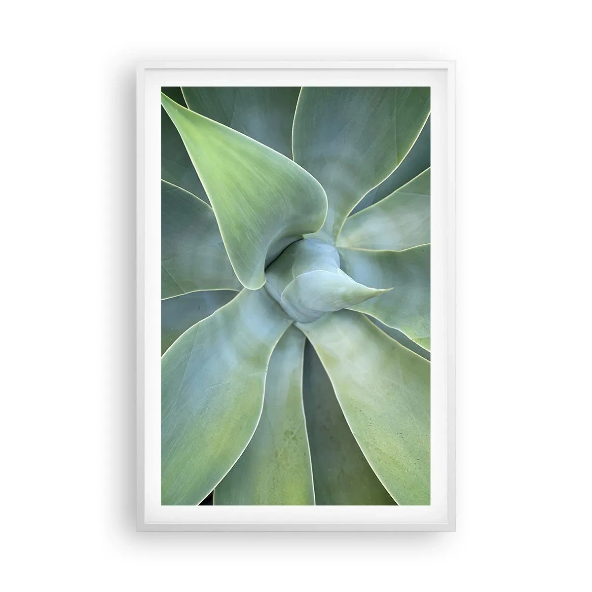 Poster in cornice bianca - La nascita del verde - 61x91 cm