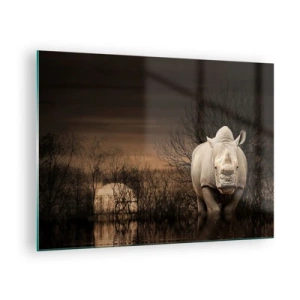Quadro su vetro - Rinoceronte contro il sole al tramonto - 70x50cm - Bianco contro la natura - Decorazione murale moderna per soggiorno e camera da letto ARTTOR