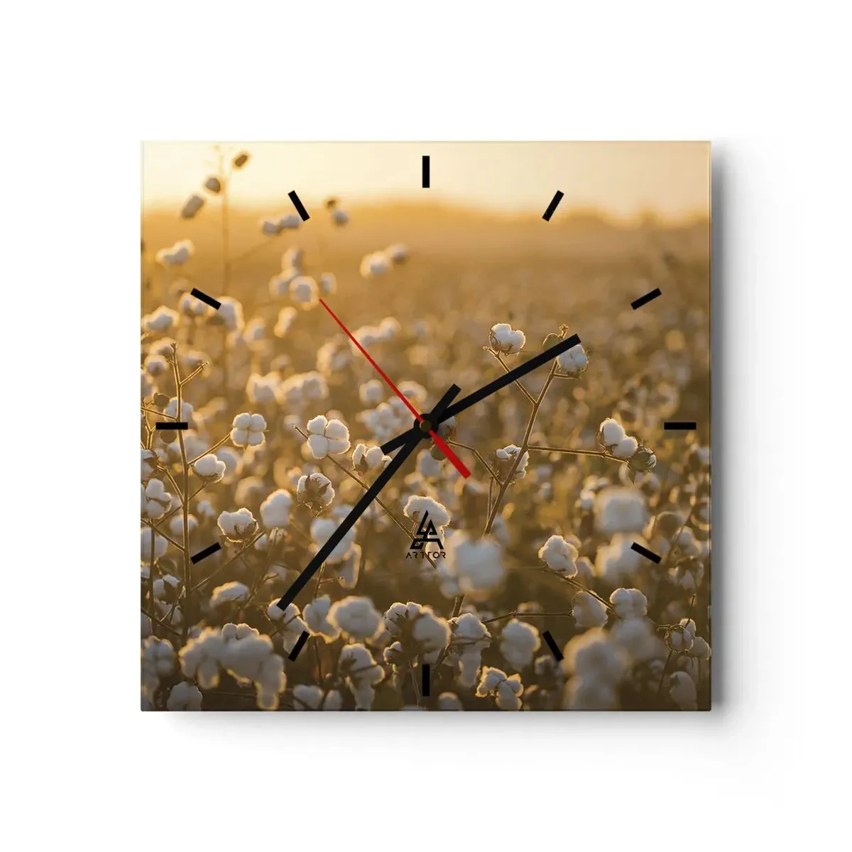 Orologio da parete - Orologio in Vetro - Un campo di cotone nella calda luce del sole al tramonto - 30x30cm - Campo di morbidezza - Decorazione murale moderna per soggiorno e camera da letto ARTTOR