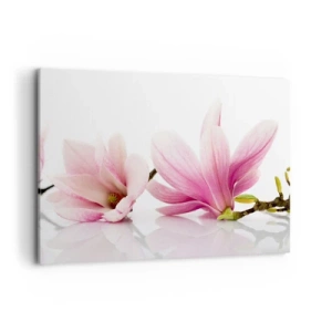 Quadro su tela - Stampe su Tela - Delicate magnolie rosa su sfondo bianco - 120x80cm - Delicati come un soffio di primavera - Decorazione murale moderna per soggiorno e camera da letto ARTTOR