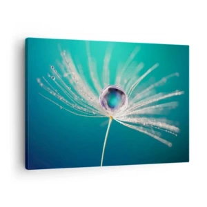 Quadro su tela - Stampe su Tela - Macro di una goccia d'acqua su un delicato seme di tarassaco - 70x50cm - Attimo mistico - Decorazione murale moderna per soggiorno e camera da letto ARTTOR