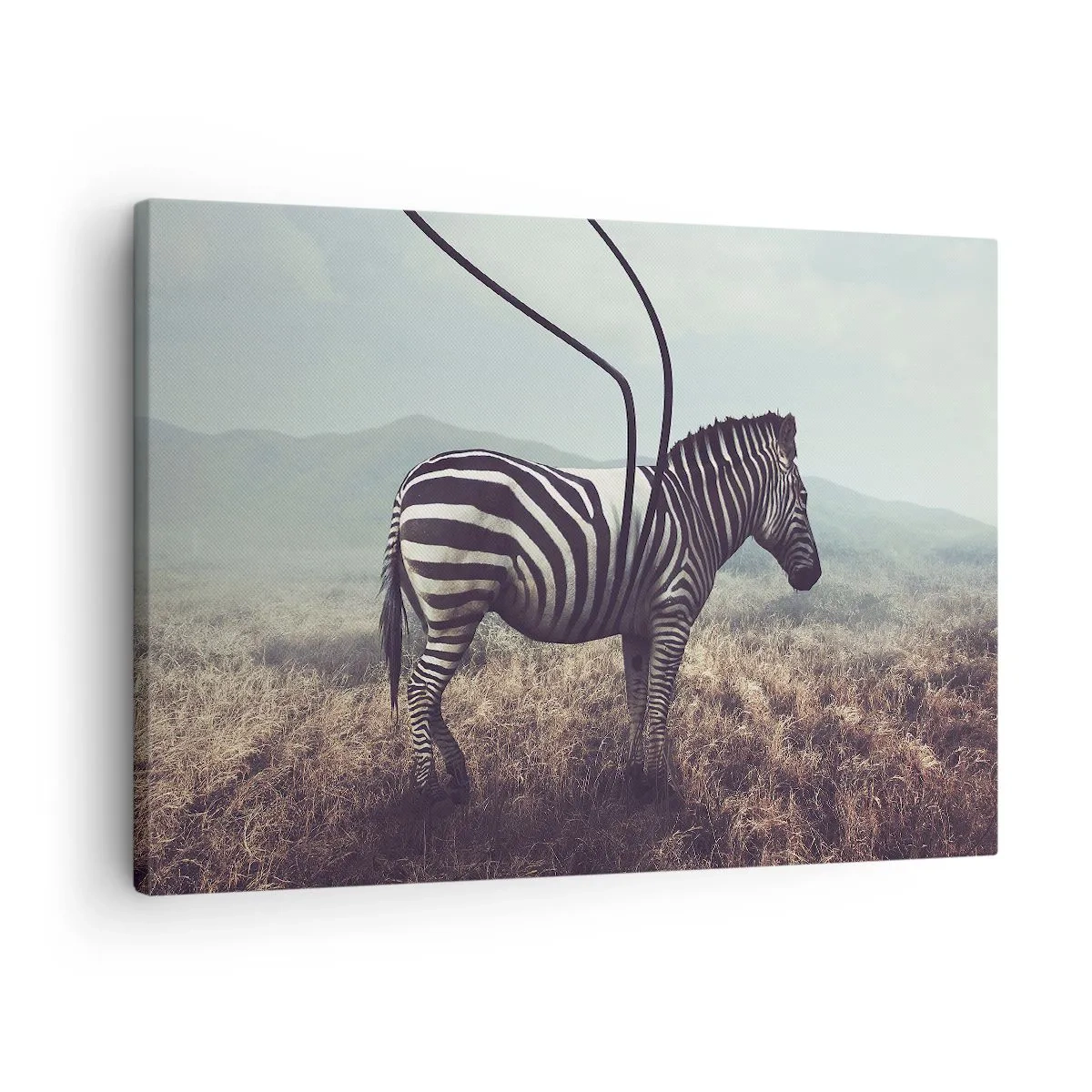 Quadro su tela - Stampe su Tela - Una zebra surreale contro un paesaggio erboso - 70x50cm - Attenzione! Difetto - Decorazione murale moderna per soggiorno e camera da letto ARTTOR