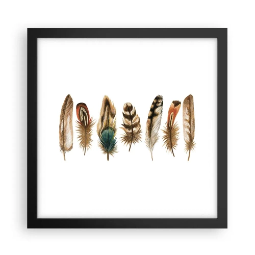 Poster in cornice nera - Composizione di piume - 30x30 cm