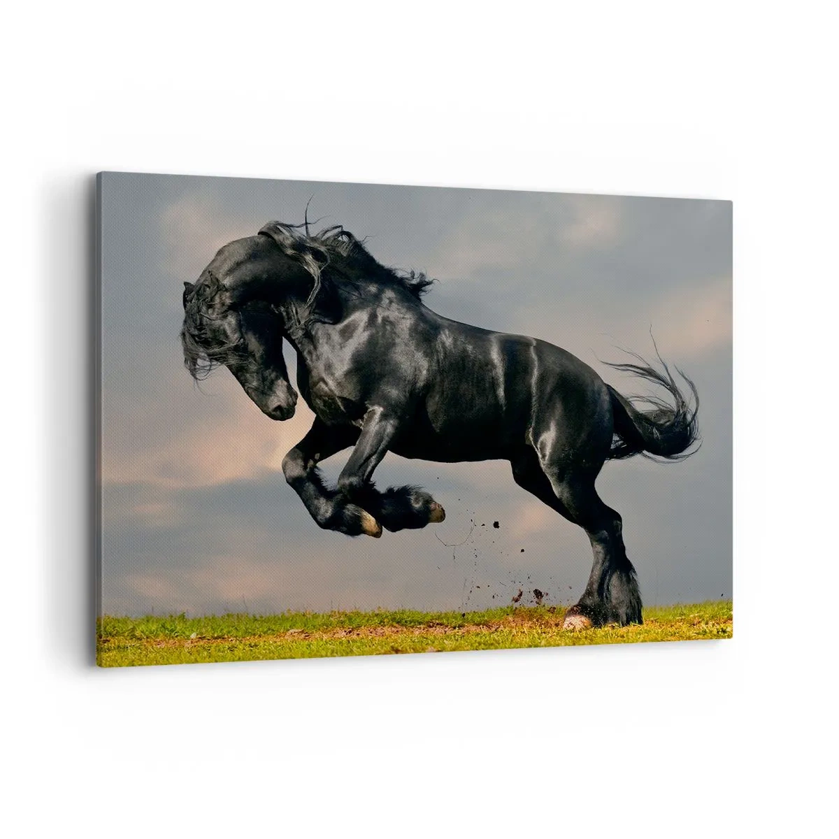 Quadro su tela - Stampe su Tela - Un cavallo oscuro in un salto dinamico contro il cielo - 100x70cm - Libero e bello - Decorazione murale moderna per soggiorno e camera da letto ARTTOR