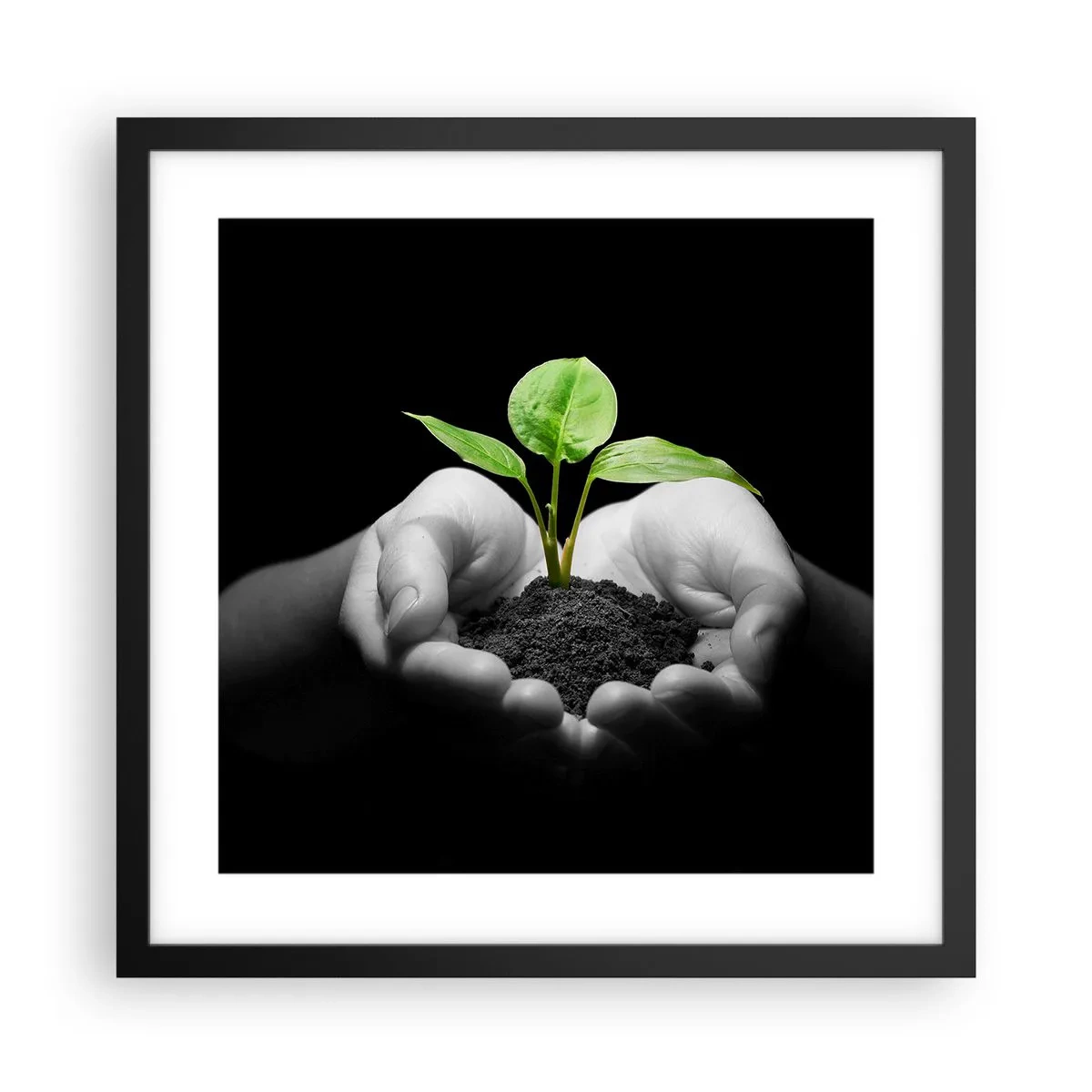 Poster in cornice nera - Amo la natura, la proteggo - 40x40 cm