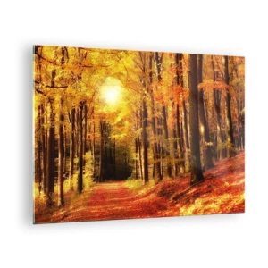 Quadro su vetro - Foresta autunnale immersa nella luce dorata del sole - 70x50cm - Autunno dorato nella via nel bosco - Decorazione murale moderna per soggiorno e camera da letto ARTTOR